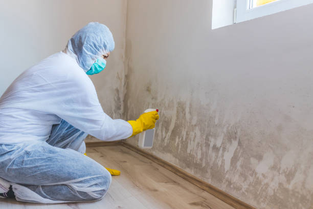 Black mold inspection in Lumberton