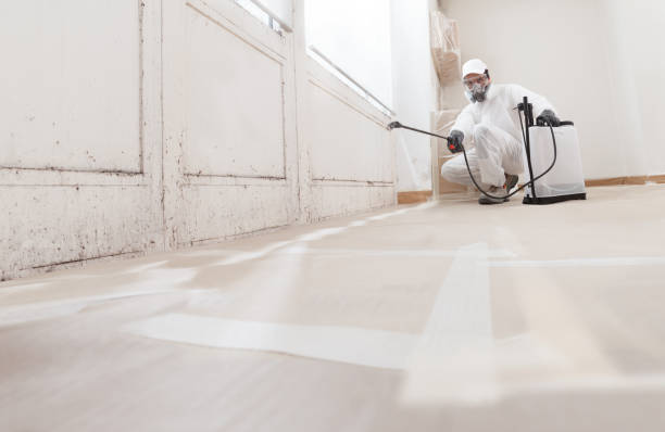 Black mold remediation team in Lumberton